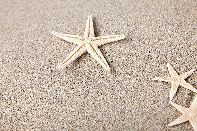 世嘉确定《疯狂出租车》系列重启作为3A游戏